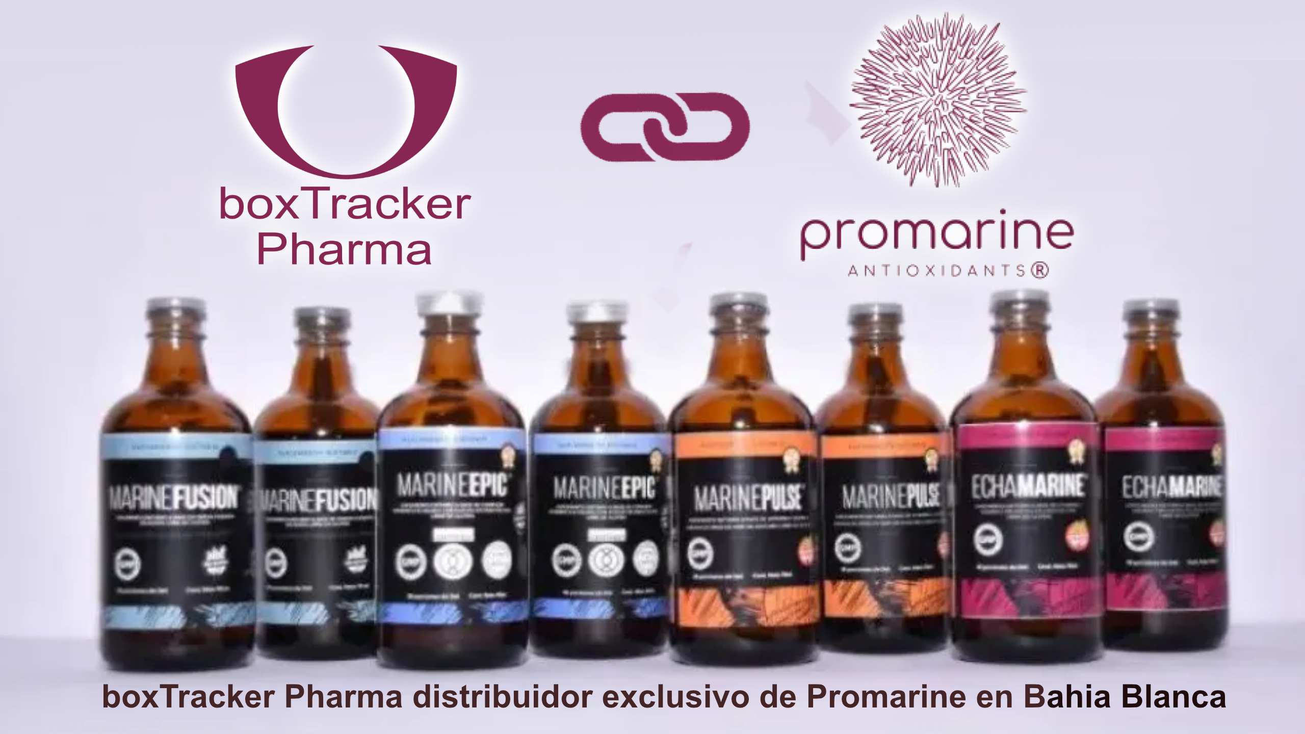 Foto principal Promarine